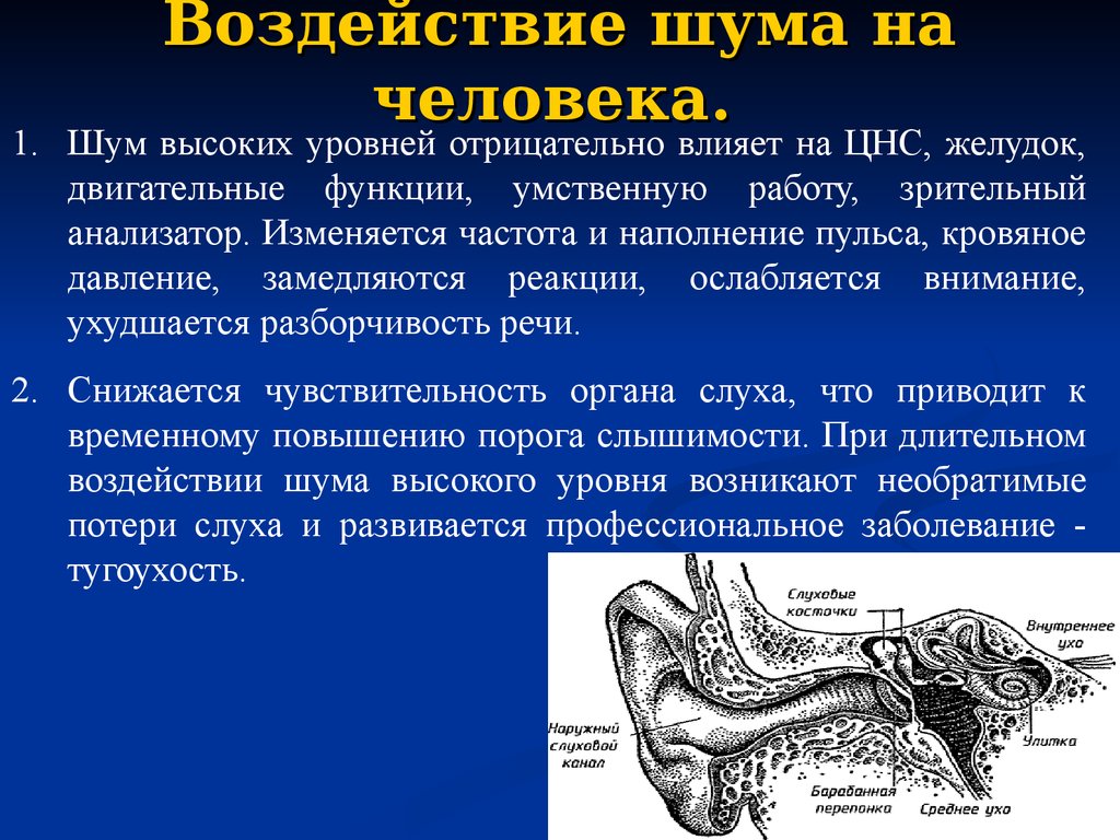 Почему в ушах ультразвук. Воздействие шума и вибрации на человека. Воздействие шума на человека. Негативное влияние шума на организм человека. Влияние городского шума на здоровье человека.