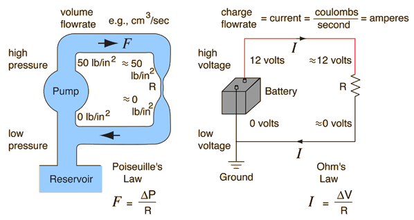 Diagram depicting a closed water flow circuit as compared to an electrical circuit.