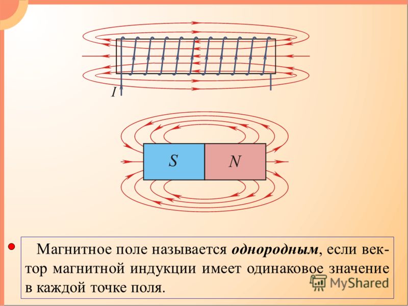 Магнитная индукция имеет