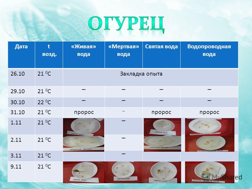 Опыт живая вода. Презентация на тему Живая и мертвая вода. Таблица живой и мертвой воды. Влияние живой и мертвой воды на растения. Живая мёртвая вода магазин.