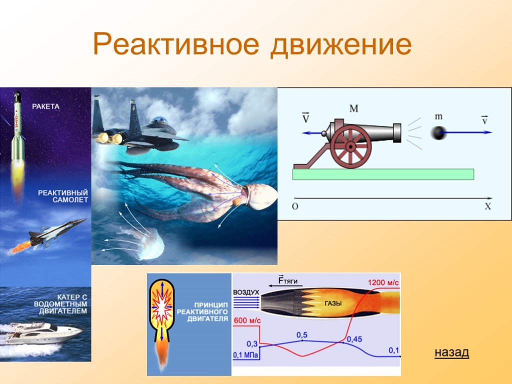 Реактивное движение в природе и техник. Реактивное движение физика. Реактивное движение в технике физика. Реактивное движение это в физике. Примеры реактивного движения в технике.