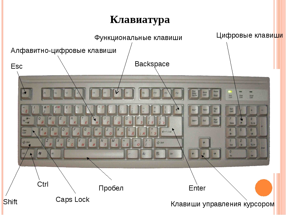 Схема клавиатуры. Строение клавиатуры. Клавиатура с расположением кнопок снизу. Где на клавиатуре звук. Названия элементов клавиатуры.