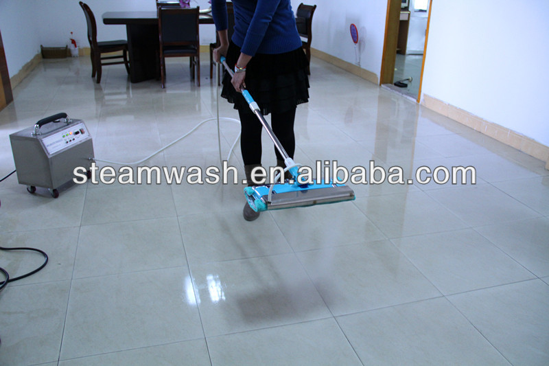 clean carpet/ floor household appliance