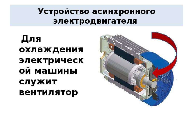 Конструктивная схема асинхронного двигателя