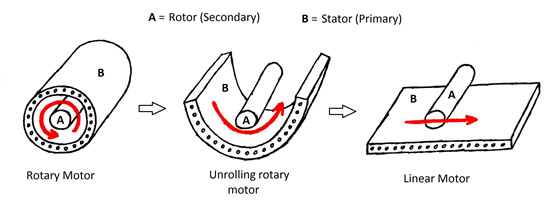 ECE_SHP_Figure07_v1_CornellWilson