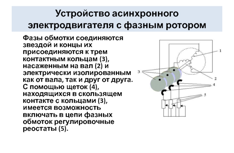 Схема трехфазного асинхронного двигателя с короткозамкнутым ротором представлена на рисунке