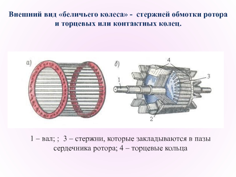 Устройство ротора асинхронного двигателя