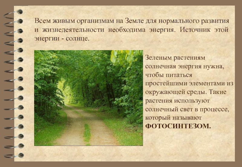 Благодарственное письмо растениям 3 класс окружающий мир. Зеленые растения источник энергии для всех организмов на земле. Что несёт энергию необходимую для развития растения. Спасибо растениям окружающий мир 3 класс. Энергия земли для организмам необходима.