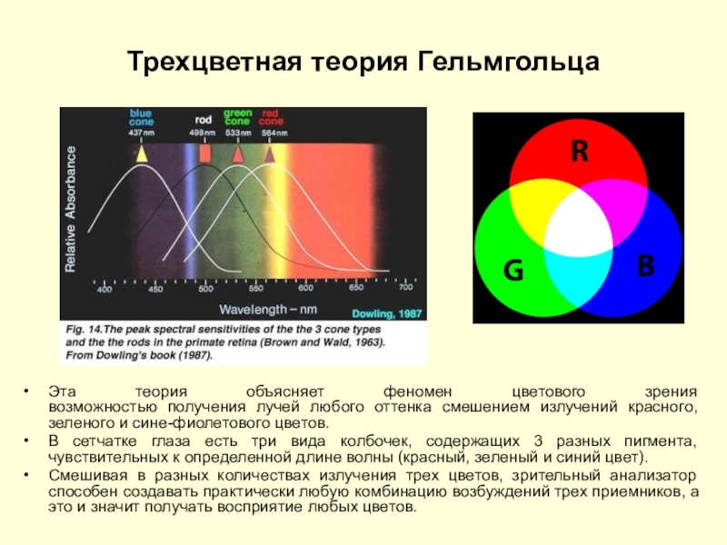 Кольца гельмгольца