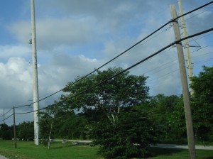 EMFs from power lines